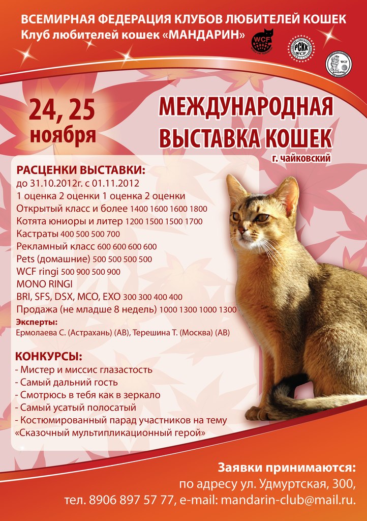 Любительнице кошек поздравления Любительнице кошек поздравления